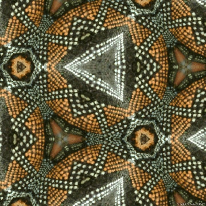 Sembiki-KaleidoCam-1299939176