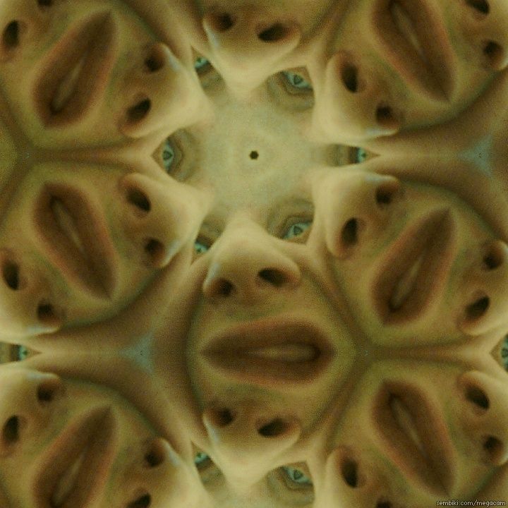Sembiki-KaleidoCam-1300027890